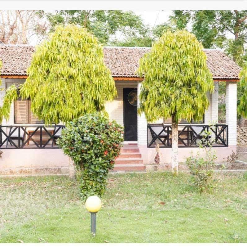 Safari Wildlife Lodge And Camp Chitwan Εξωτερικό φωτογραφία
