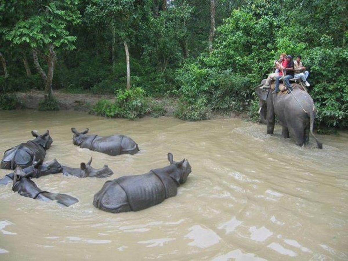 Safari Wildlife Lodge And Camp Chitwan Εξωτερικό φωτογραφία