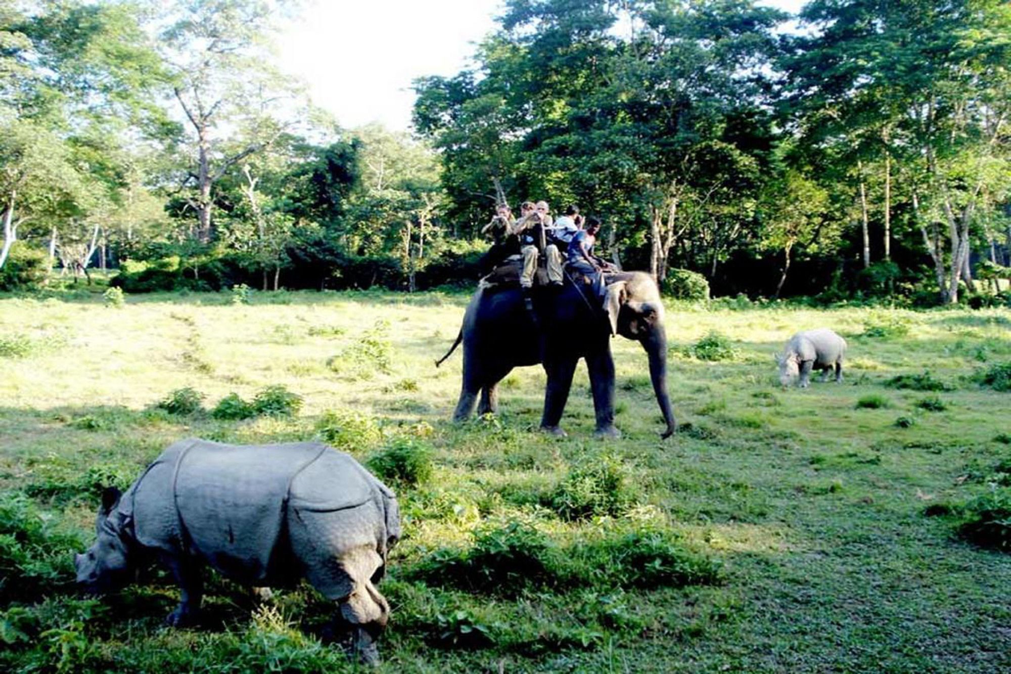 Safari Wildlife Lodge And Camp Chitwan Εξωτερικό φωτογραφία